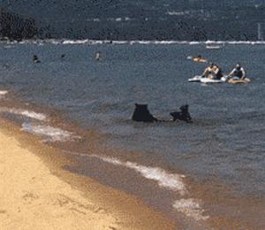 功夫猫搞笑动态图片,搞笑蓝猫gif动图