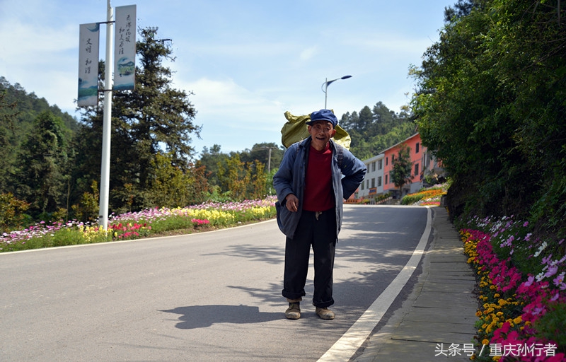 綦江花坝:以花为媒村民吃上旅游饭