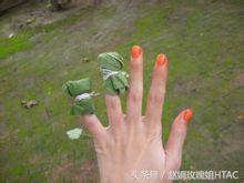 花草间,美甲绿色植物