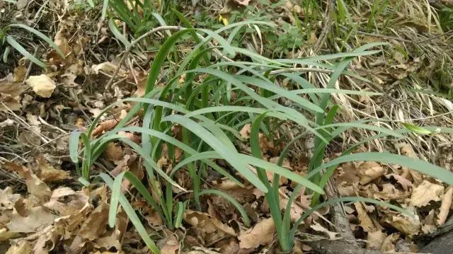 太行山最值得去的地方有哪些,太行山母亲