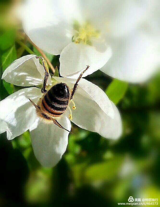 走过四季夏天最美,走过春夏美丽的秋冬