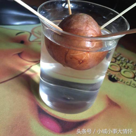 吃完牛油果千万别碰5种食物,吃完的牛油果别扔