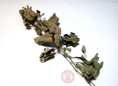 头皮屑多怎么把头皮屑洗干净,有头皮屑不洗头怎么去头皮屑