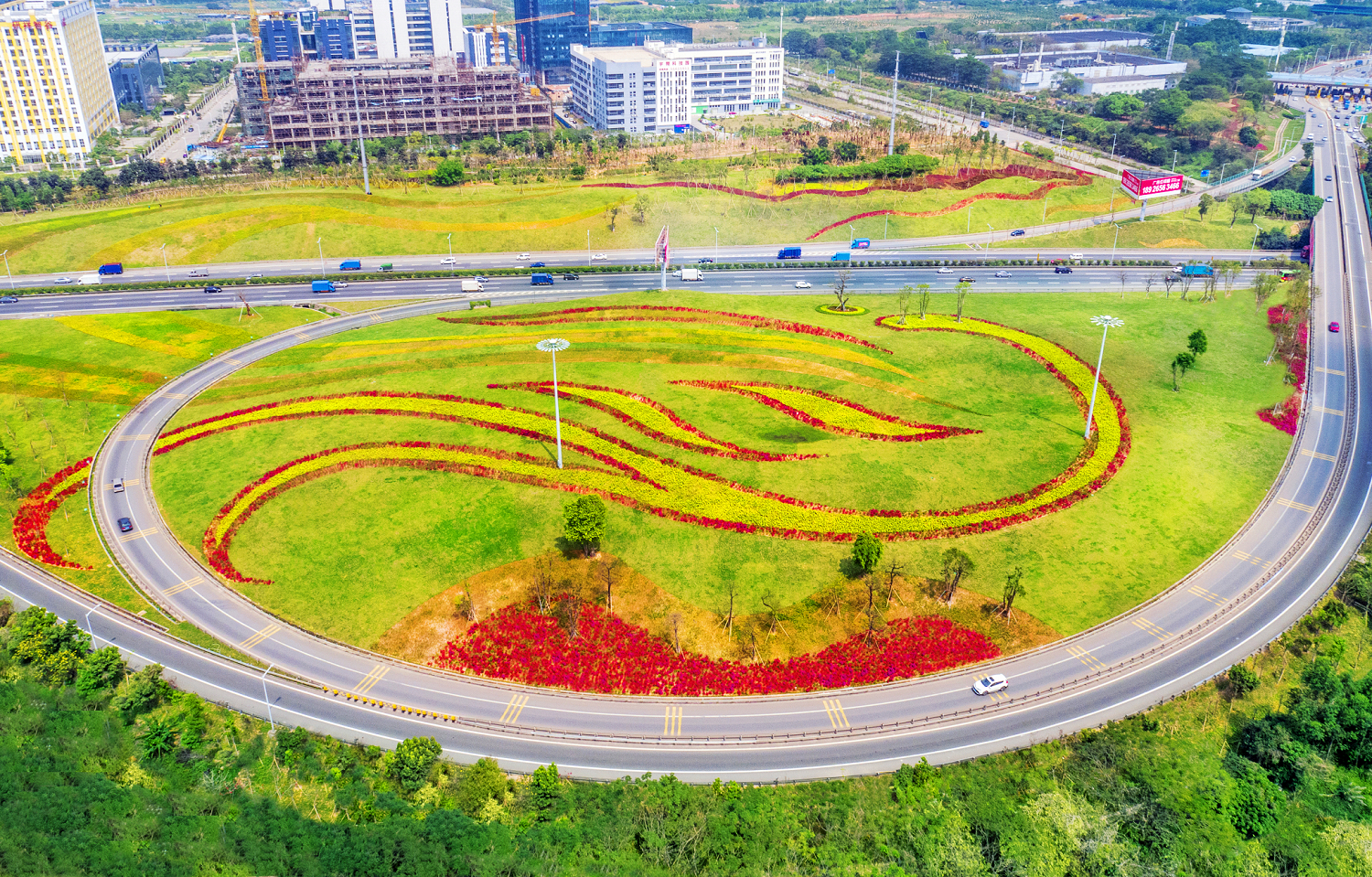 光明区发展历史,光明区5年的变化