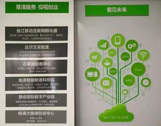 孵化器如何创业,孵化器如何实现经济效益最大化