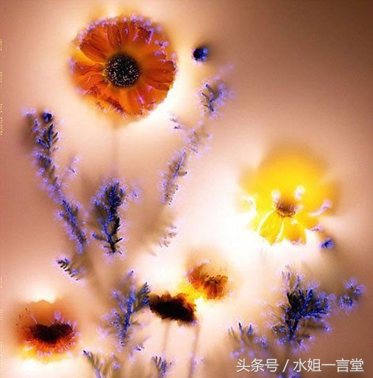 肉眼看到的和相机看到的区别,肉眼看到的和看不到的