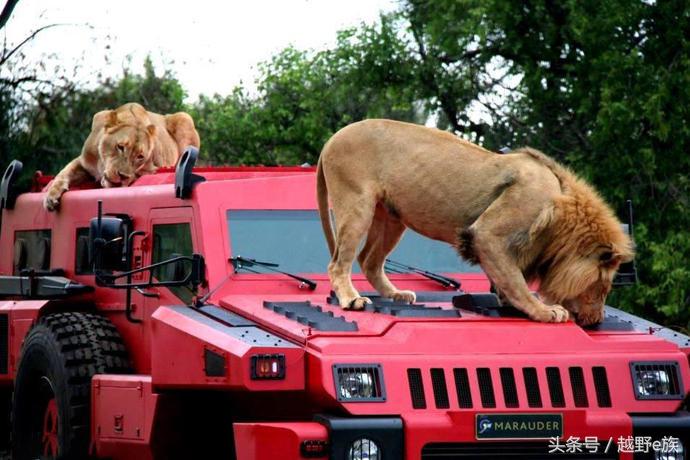 派拉蒙掠夺者越野最火爆的视频,派拉蒙掠夺者试驾视频
