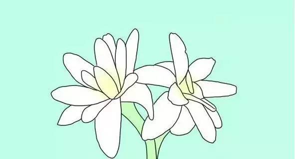 突然大量飞蚁飞进屋子,飞蚁飞进屋不见了怎么办