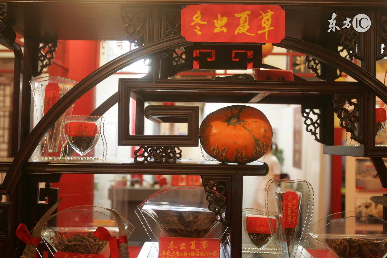 长期服冬虫夏草会上火吗,冬虫夏草长期喝会上火吗