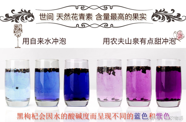 花青素之王黑枸杞图片,黑枸杞是花青素之王