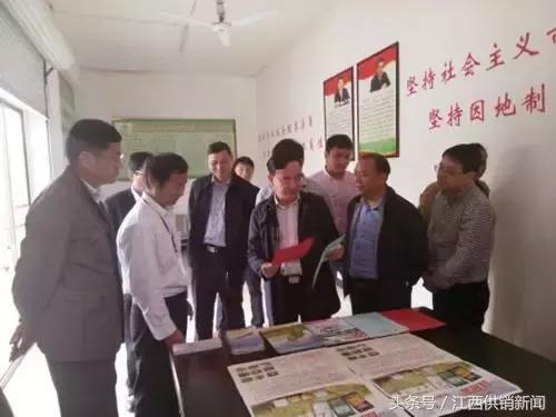 深改督查方案,深改组教育督导