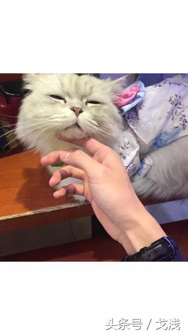 拥有一双好脚是什么样的体验,女生有一双好看的手是什么体验