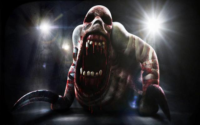 nds能玩到什么游戏,nds上有什么恐怖游戏