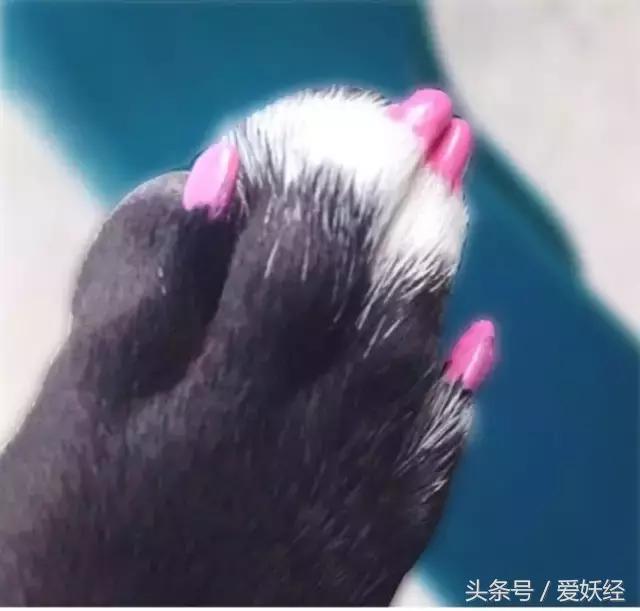 爱妖经｜亲子装，亲子包……现在连美甲都要同款了？