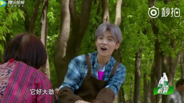 乔欣解释,乔欣失恋语录