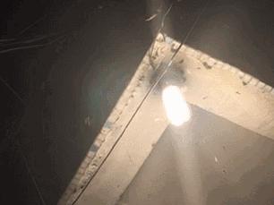 怎么防止飞蚁进入家中房间,怎样防止雨天飞蚁入屋