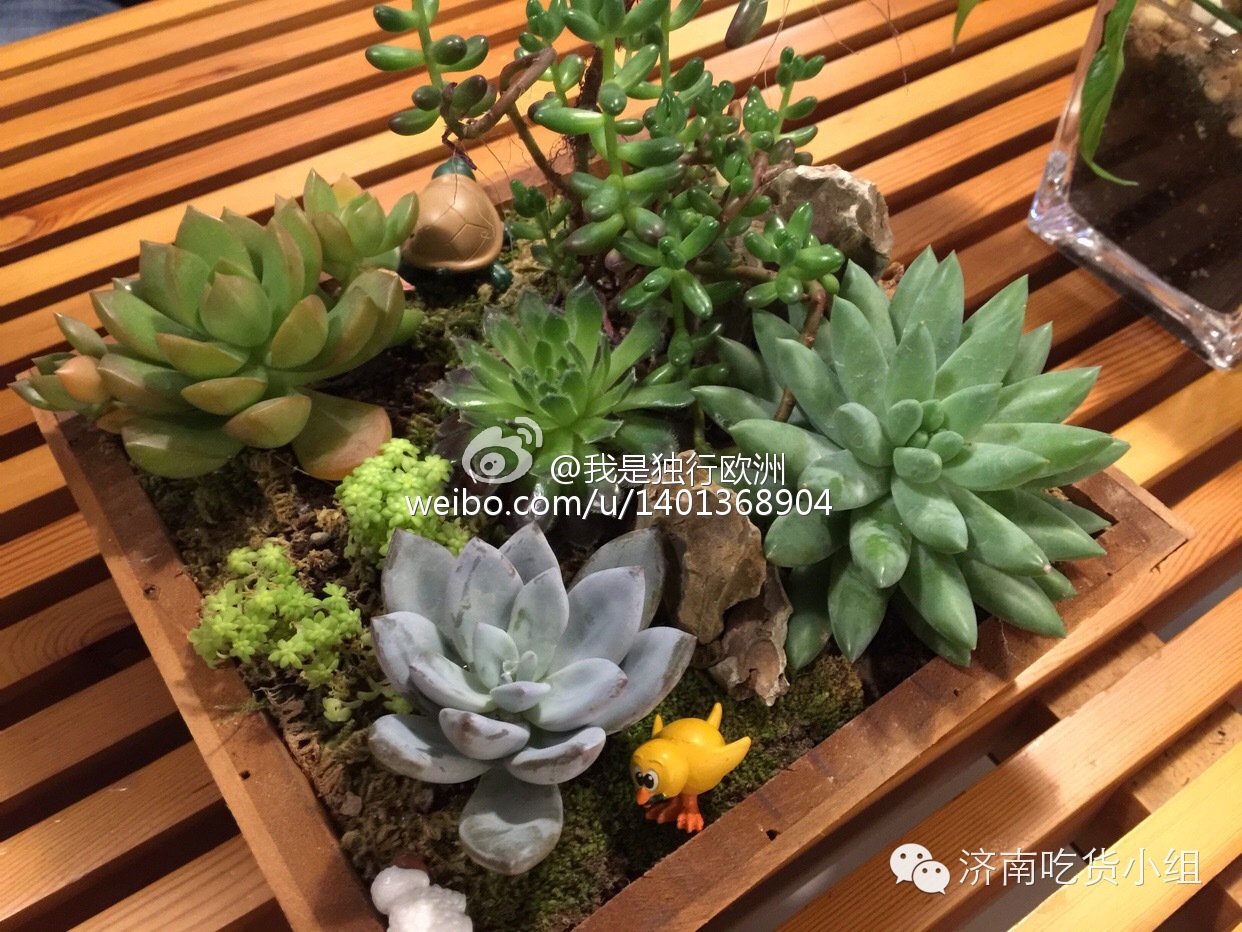 在济南，我想和你“一起”喝咖啡O,∩_∩O~~