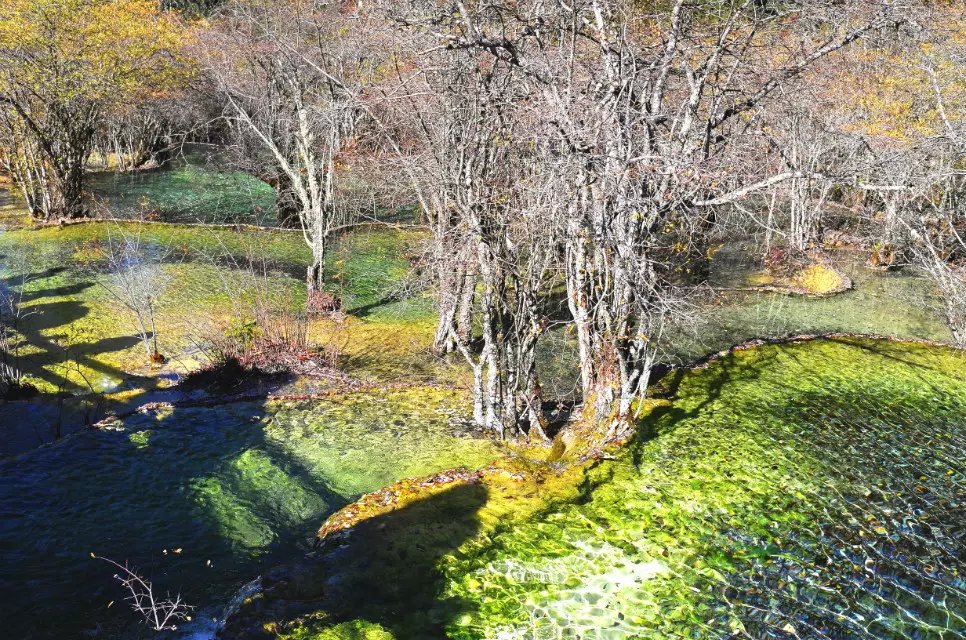 行走在风景里,记录旅游黄龙留下美好回忆