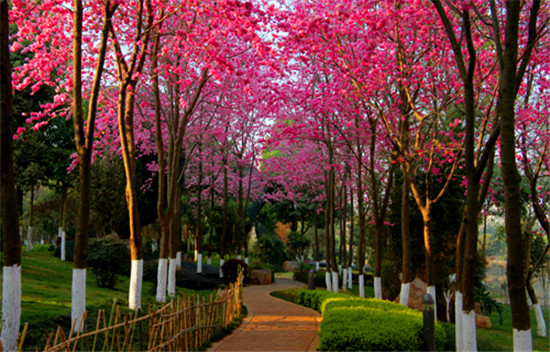泸西旅游攻略一日游,去云南红河攻略