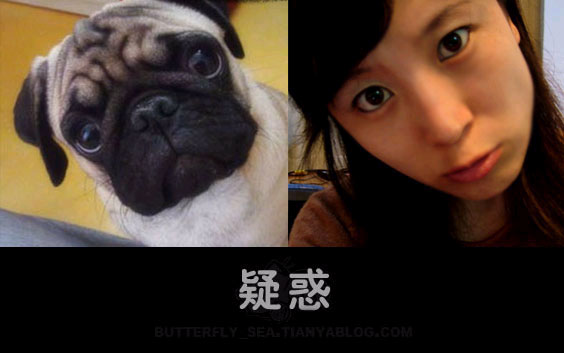 女性为什么不能像男性那样站着小便,原因是这样子的