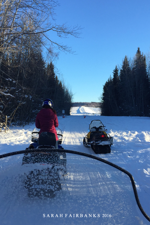 为了这束光，我们一路向北追逐而至...