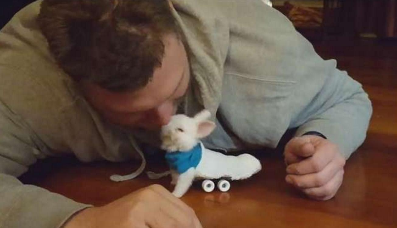 小兔灵机一动想出了一个办法,小兔子瘫痪