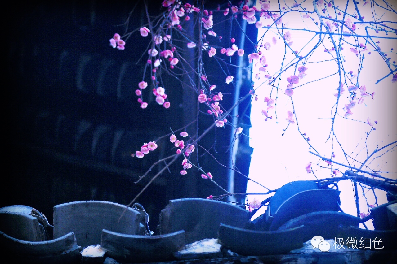 涔惧煄婀樿タ,婀樿タ涔惧煄鍙ゅ煄