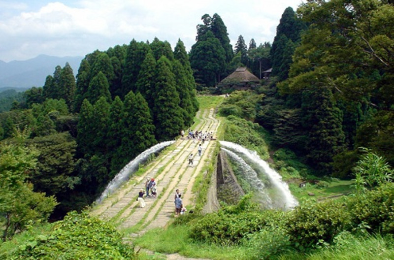 熊本熊77期,熊本熊布朗熊带你去旅行