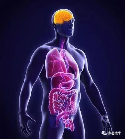 身体真的需要排毒吗,我们的身体都需要些什么