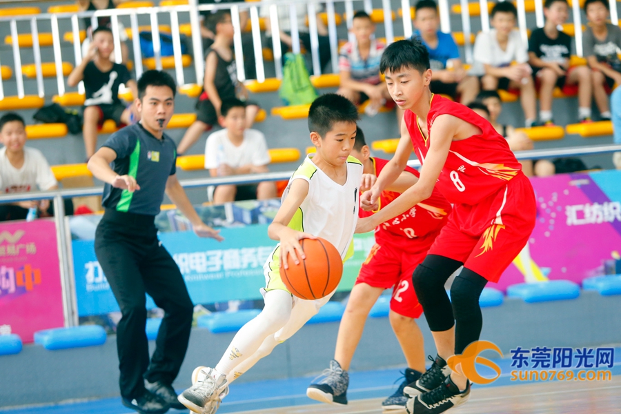 东莞市小学篮球赛2021,2020年东莞市小学篮球锦标赛