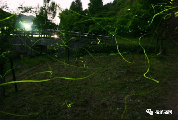 日本九州的人民夏天都去那里玩？只有一天也可以很放松的景点不信你们都去过