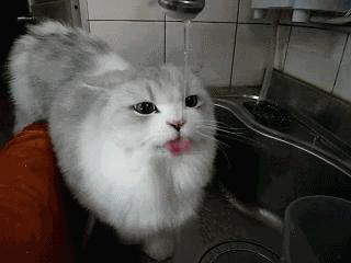 高温天气郑州,郑州高温哪里避暑