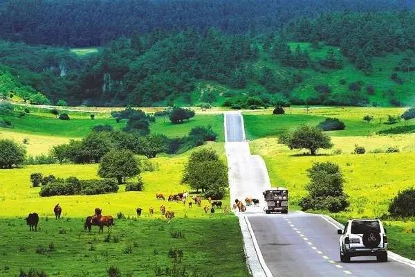 再上4天班就放假了吗,重庆放假最新通知