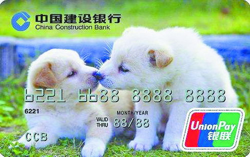 信用卡定制费,信用卡可以申请多少钱额度