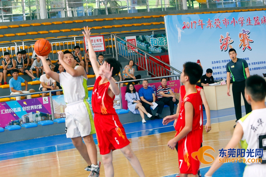 东莞市小学篮球赛2021,2020年东莞市小学篮球锦标赛
