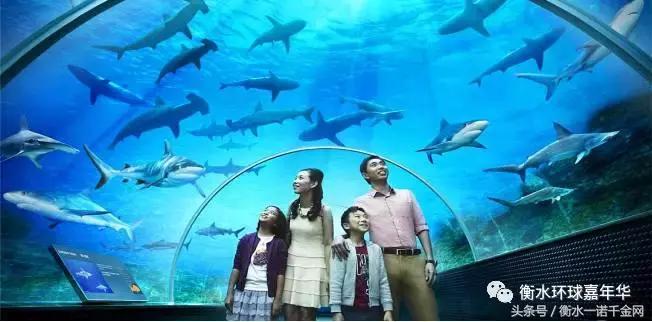 衡水乐园有哪些,衡水湖乐园