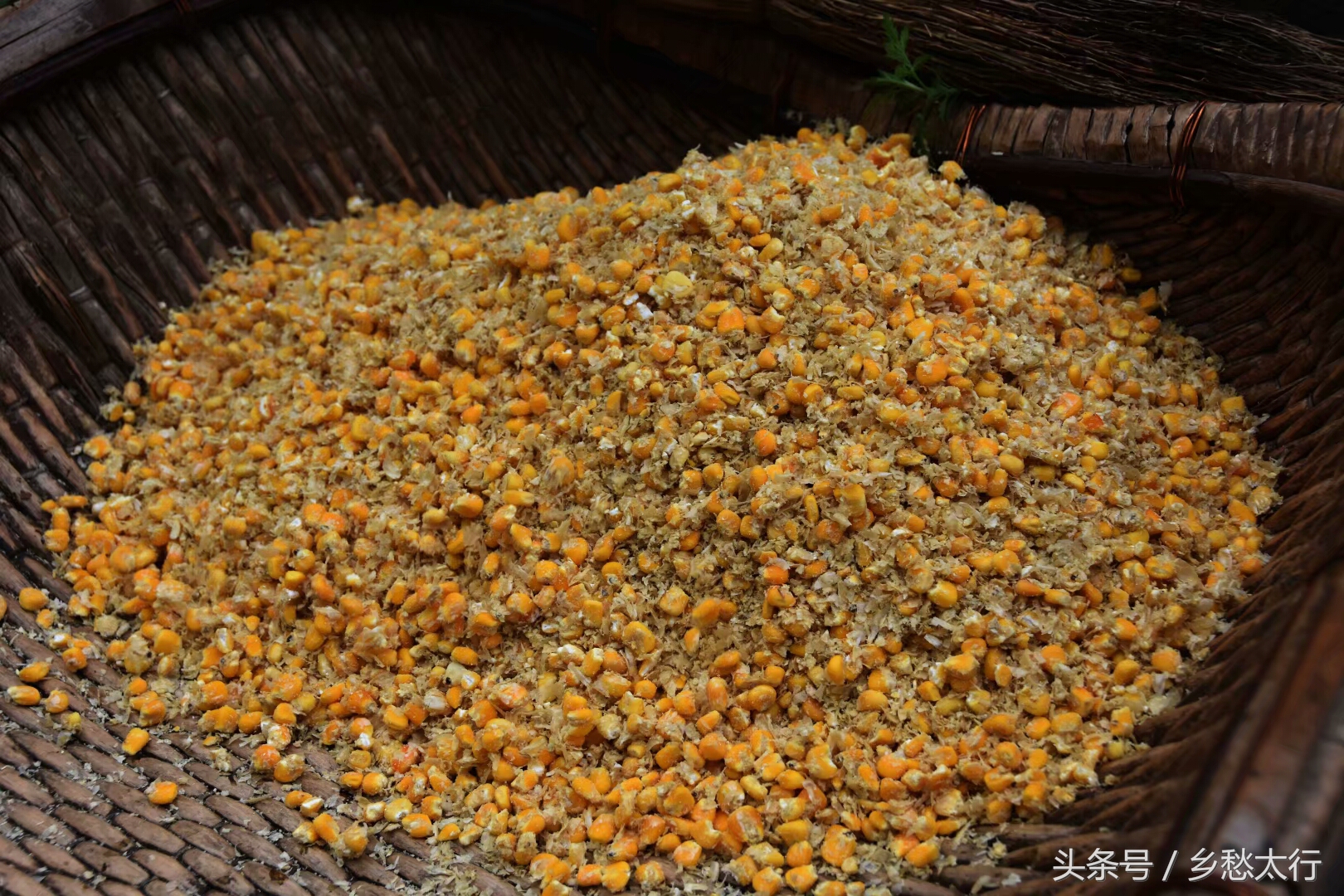 记在心底的玉黍米面条汤