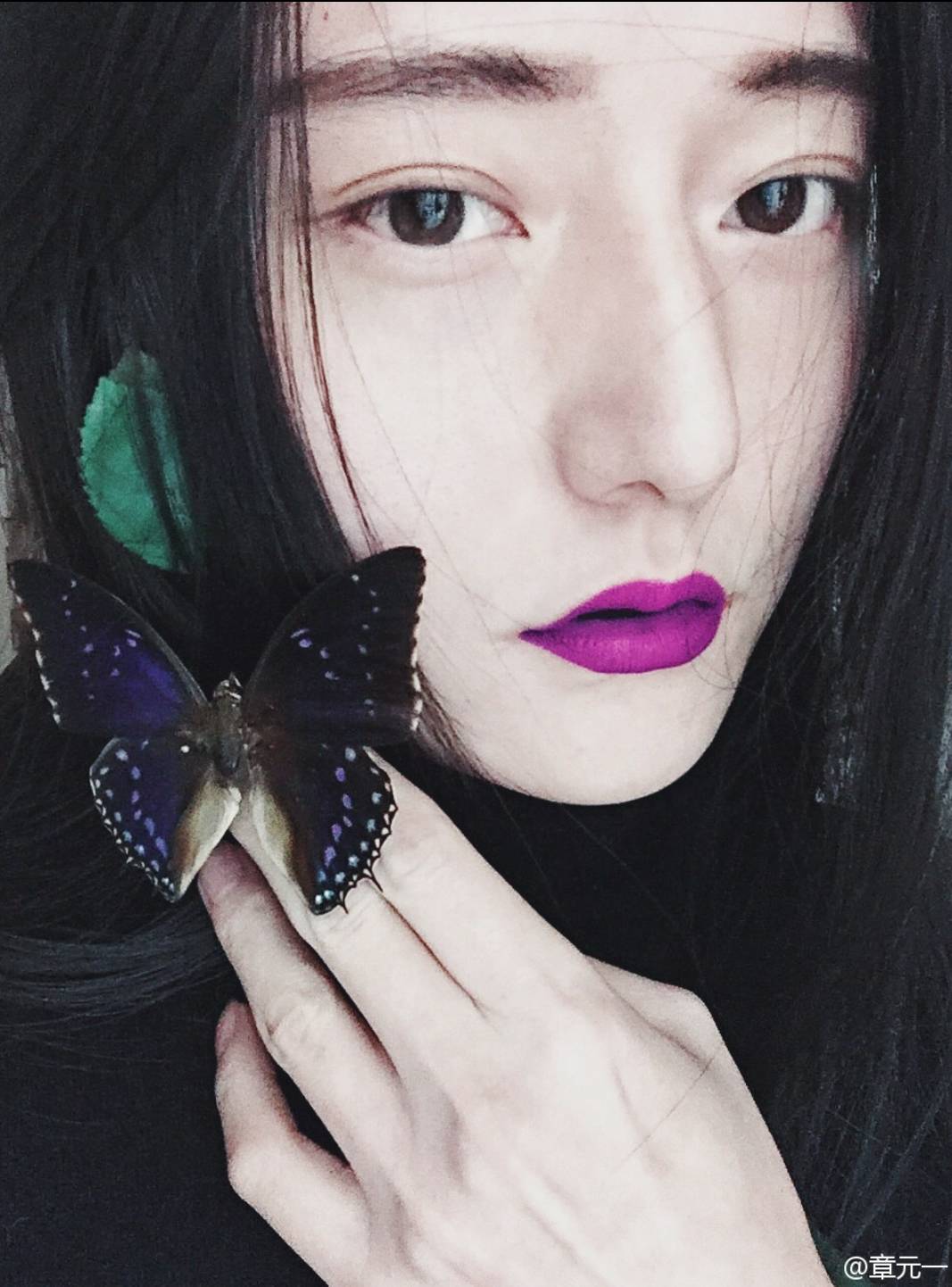 张靓颖和范冰冰,张靓颖范冰冰同框