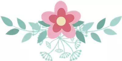 超大杯水果茶抖音团购,网红水果杯700ml