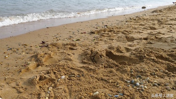 亲子游大连和青岛,青岛大连亲子游4天自由行攻略