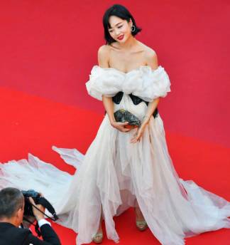 戛纳去了多少中国明星,戛纳中国明星都有谁