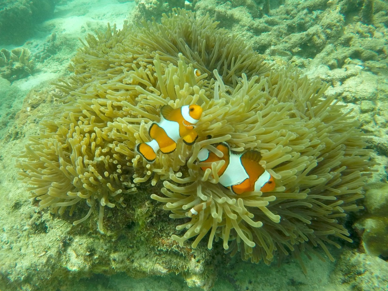 女性去泰国旅游的感受,泰国女孩异国历险