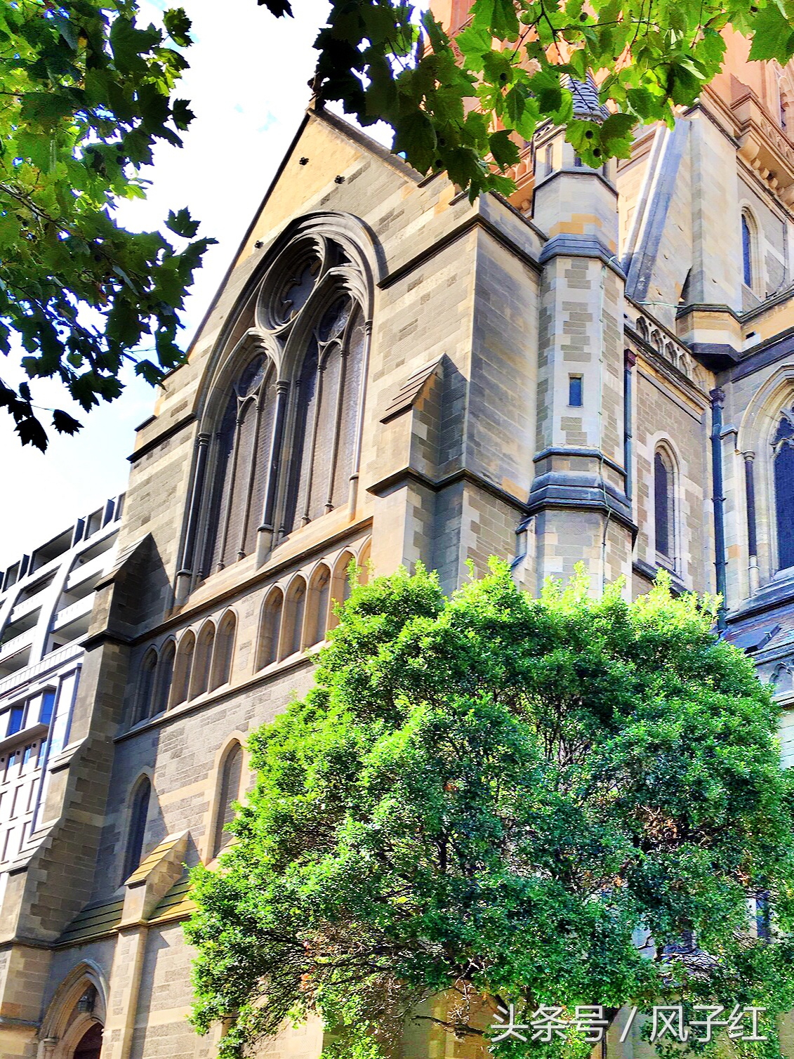 CityTour丨弃车暴走墨尔本,看看人家的街头文化