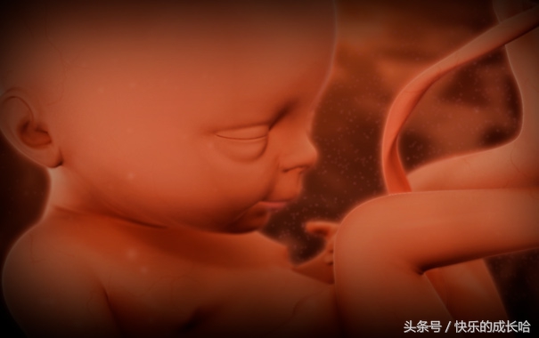 怀孕第6周妈妈的变化,了解孕16周时胎宝宝和孕妈的变化