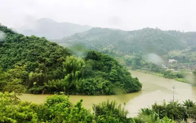 茶旅｜温润如水仙，会是你生活中的日常