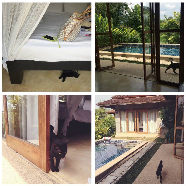 女性去泰国旅游的感受,泰国女孩异国历险