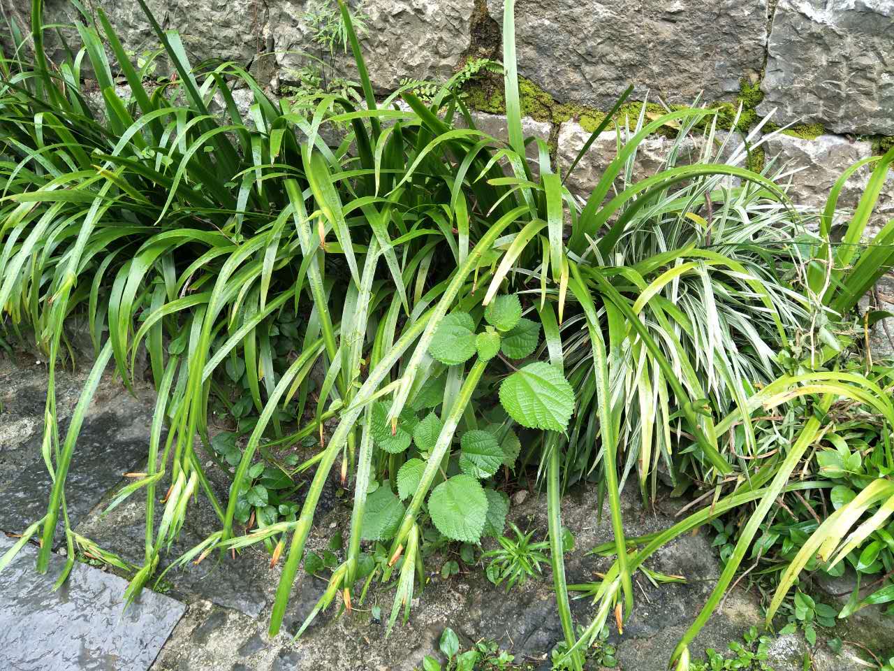 一路山水一路歌完整版,一路山水一路歌歌词