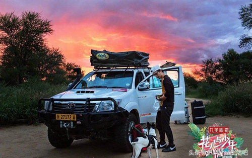 陈柏霖斑马外套同款,陈柏霖同款鞋子