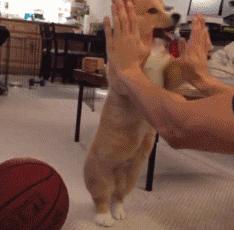 足坛那些燃爆全场的凌空抽射,足坛上不可思议的凌空抽射