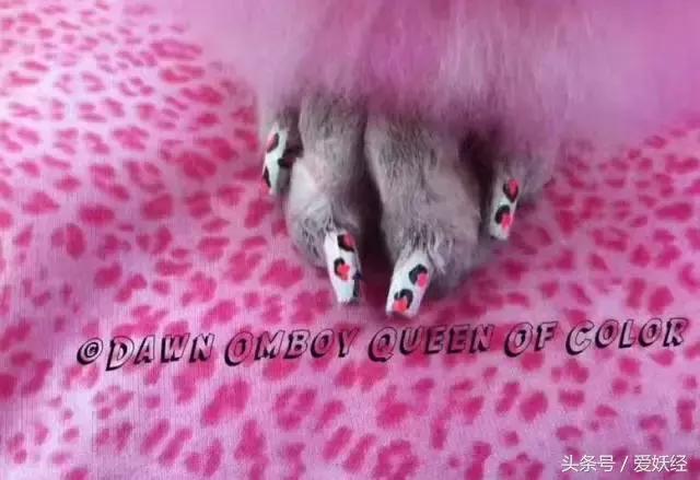 爱妖经｜亲子装，亲子包……现在连美甲都要同款了？